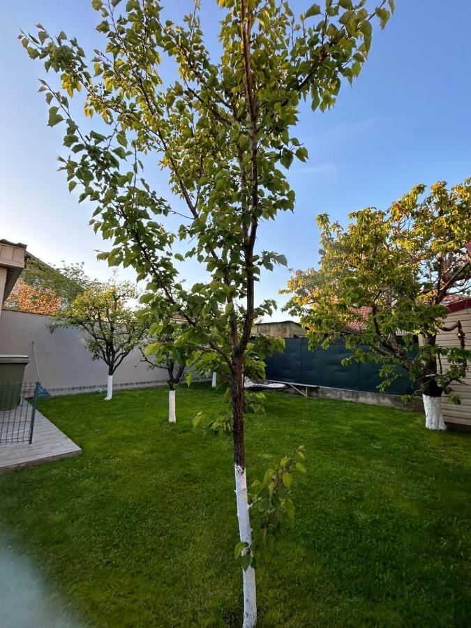 كونستانتا Casa Verde المظهر الخارجي الصورة